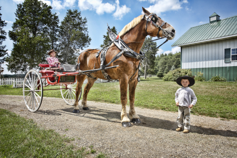 Самая крупная лошадь Самой крупной лошадью в мире является Большой Джейк – 9-летний конь бельгийской породы высотой в 20 ладоней 2,75 дюймов или 210.19 см. Живет на ферме в Пойнетте, штат Висконсин, США.